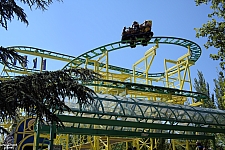 Wild Mouse