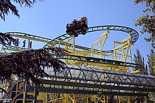 Wild Mouse