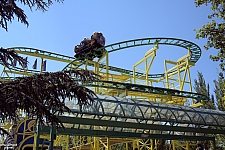 Wild Mouse