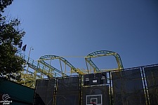 Wild Mouse