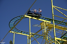 Wild Mouse
