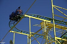 Wild Mouse
