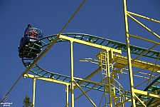 Wild Mouse