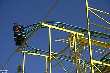 Wild Mouse