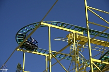Wild Mouse