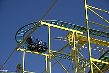 Wild Mouse