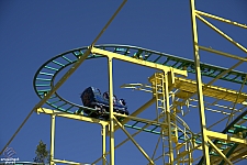 Wild Mouse