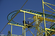 Wild Mouse
