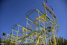 Wild Mouse
