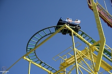 Wild Mouse