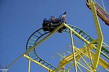 Wild Mouse