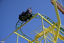 Wild Mouse
