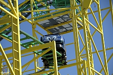 Wild Mouse