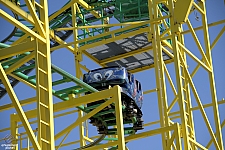 Wild Mouse