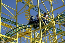 Wild Mouse