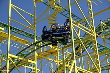 Wild Mouse