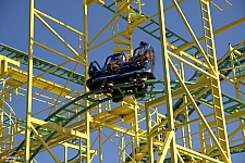 Wild Mouse