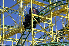 Wild Mouse