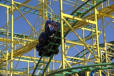 Wild Mouse