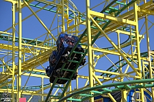 Wild Mouse