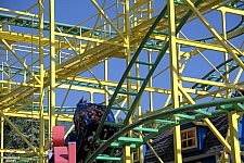 Wild Mouse