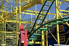 Wild Mouse