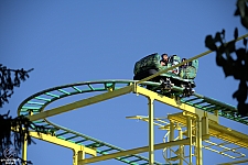 Wild Mouse