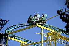 Wild Mouse