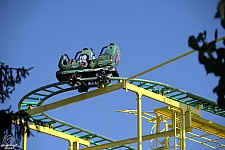 Wild Mouse