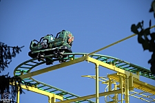 Wild Mouse