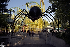 Spider