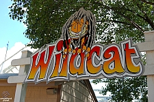 Wildcat