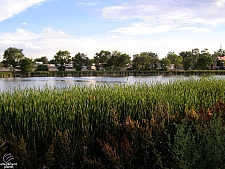 Lakeside Amusement Park
