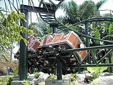 Coastersaurus