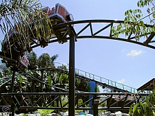 Coastersaurus