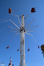 Brooklyn Flyer