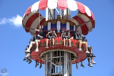 Coney Tower