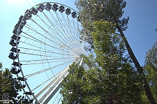 Grande Roue