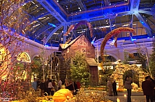 Conservatory and Botanical Gardens