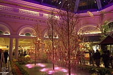 Conservatory and Botanical Gardens