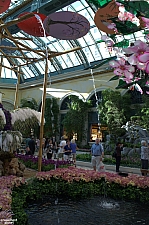 Conservatory and Botanical Gardens