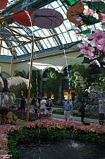 Conservatory and Botanical Gardens