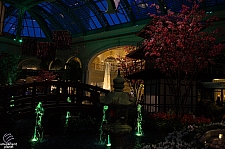 Conservatory and Botanical Gardens