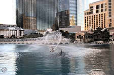 Fountains of Bellagio