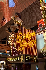 Goldenn Goose
