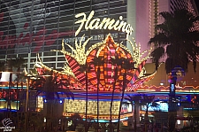 Flamingo