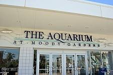 Aquarium Pyramid