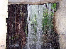 Rainforest Pyramid