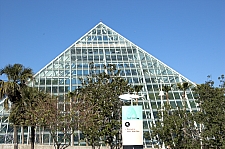 Rainforest Pyramid