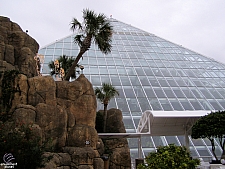 Rainforest Pyramid